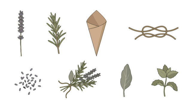 Set of hand drawn aromatic herbs and spices elements.