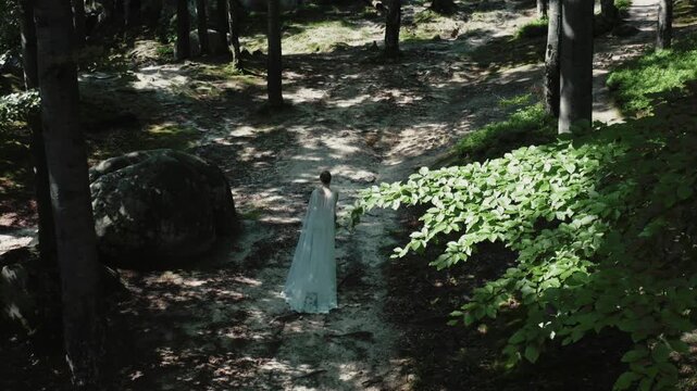 Cinematic aerial shot of elegant bride in white wedding dress walking along sunlit rocky forest path between pine trees, moss, and boulders. Perfect for wedding, nature, and cinematic content