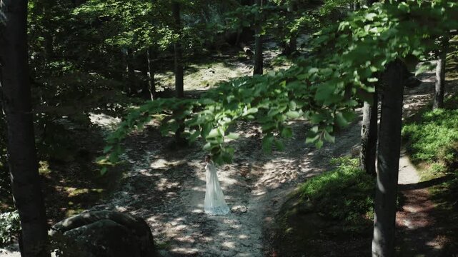 Cinematic aerial drone shot of elegant bride in white wedding dress walking along rocky forest path between pine trees and boulders in dappled sunlight. Perfect for wedding, nature, and cinematic cont