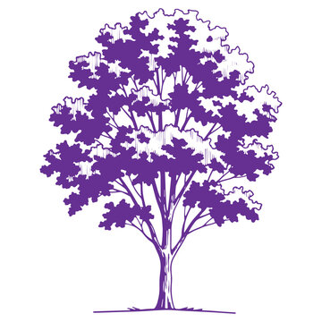 Vibrant purple tree illustration with dense foliage ideal for design and art projects