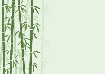Fototapeta premium Japanese Bamboo Forest Background with Copy Space