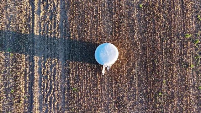 Secuencia a&eacute;rea profesional de pacas de ensilado en paisaje agr&iacute;cola productivo