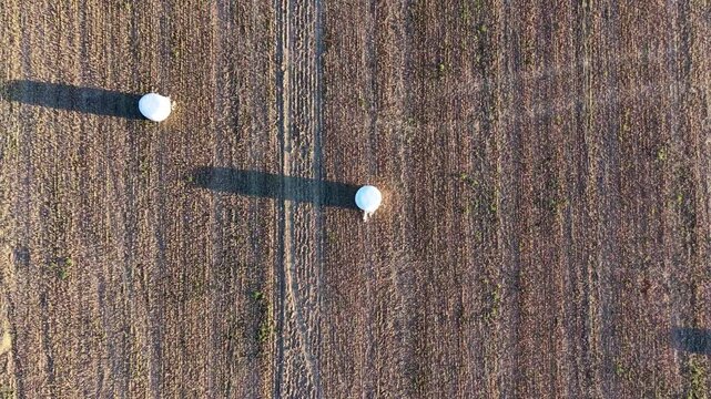 Vista aerea de campo agr&iacute;cola con balas de paja recogidas