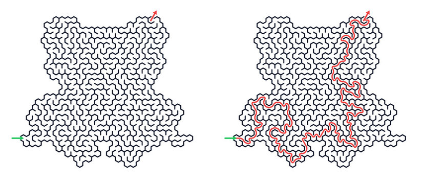 Frog shaped Hexagonal maze puzzle illustration with black lines and red solution path on white background representing problem solving and strategic thinking [with copy space]
