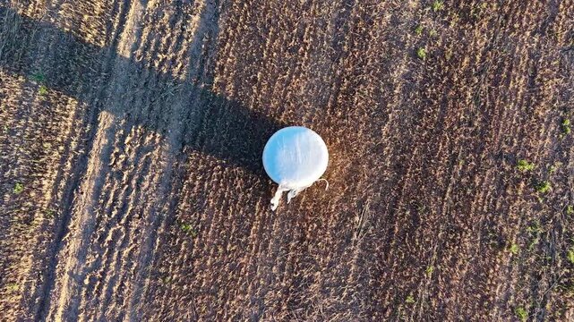 Embalaje de paja en pl&aacute;stico redondo blanco