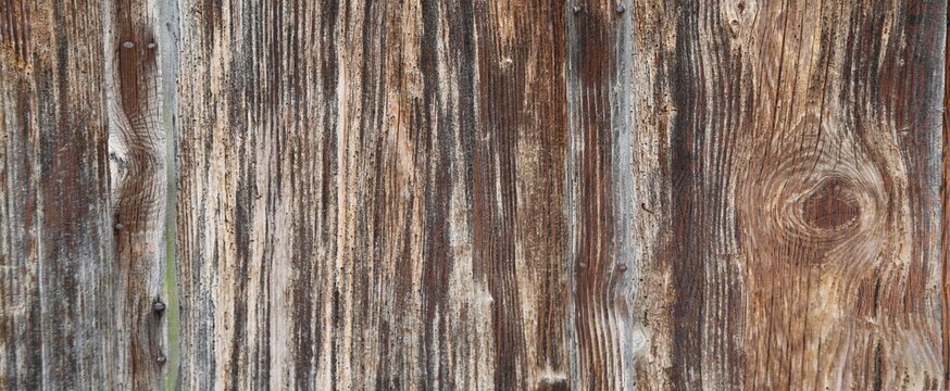 wood texture natural, plywood texture background surface with old natural pattern, Natural oak texture with beautiful wooden grain, Walnut wood, wooden planks background, bark wood.