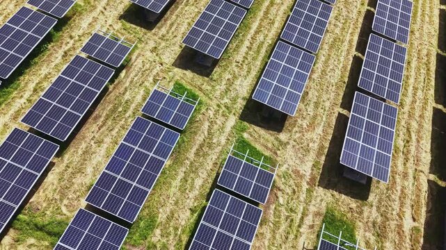 Aerial solar panels grassy field rows glinting under sun drone captures expansive photovoltaic arrays, neat rows separated by golden grass, reflections on blue