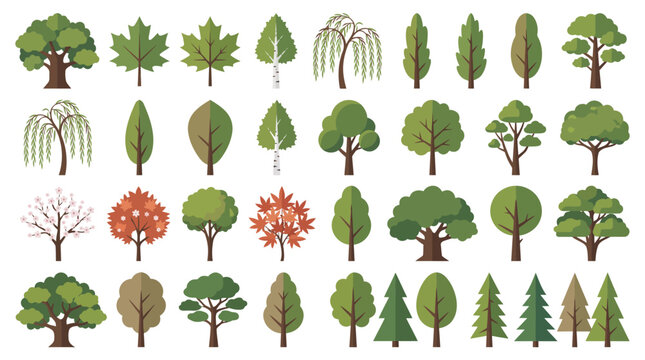 A diverse collection of stylized trees and leaves, showcasing various species and seasonal changes in a flat design.