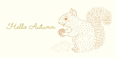 Squirrel illustration with acorn sketched style on a pale background © Sukla