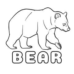 Fototapeta premium polar bear vector illustration