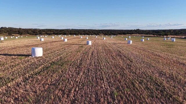 Im&aacute;genes con dron de forraje ensilado almacenado en campo tras la cosecha