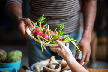 Obraz premium Fresh radishes shared between hands.