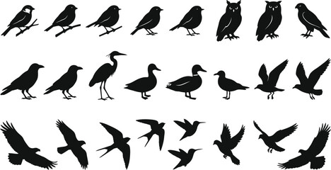 Bird Silhouettes Vector Set: Owls Ducks Sparrows Hawks © Natural flower 