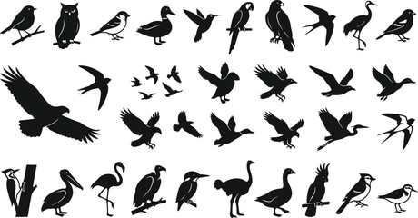 Birds Silhouettes Vector Set - Diverse Animal Icons © Natural flower 