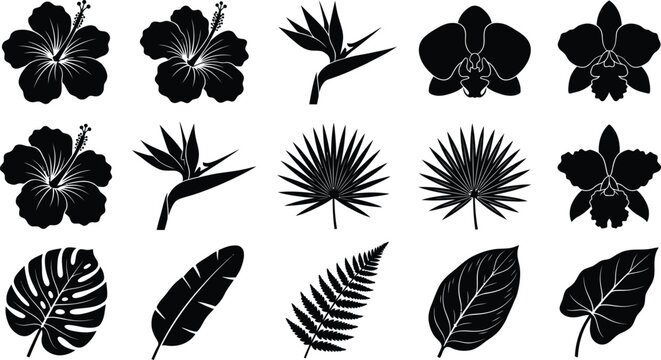 Tropical Flowers and Leaves Silhouettes Set