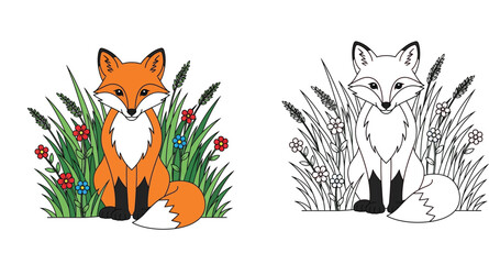 Fototapeta premium Cute Sitting Fox in Tall Grass with Flowers - Colored Illustration and Black and White Line Art Coloring Page for Kids, Educational Wildlife Vector Design for Children Activity