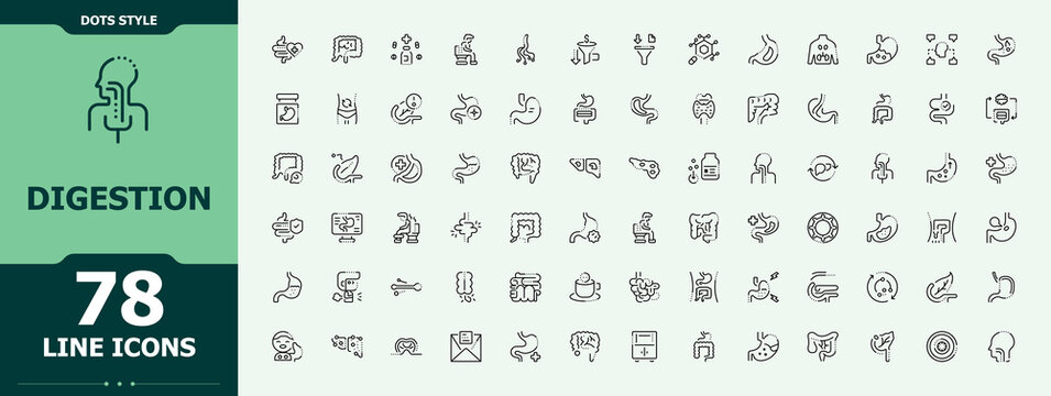 Digestion linear icon set. Digestive icon set. Contain linear symbols anatomy, digestive, digest, immunity, gastric, health and more. Signs for web and mobile app.