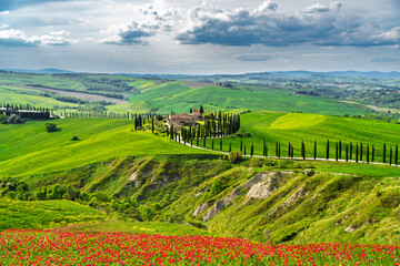 Fototapeta premium Beautiful Tuscany landscape view in Italy 