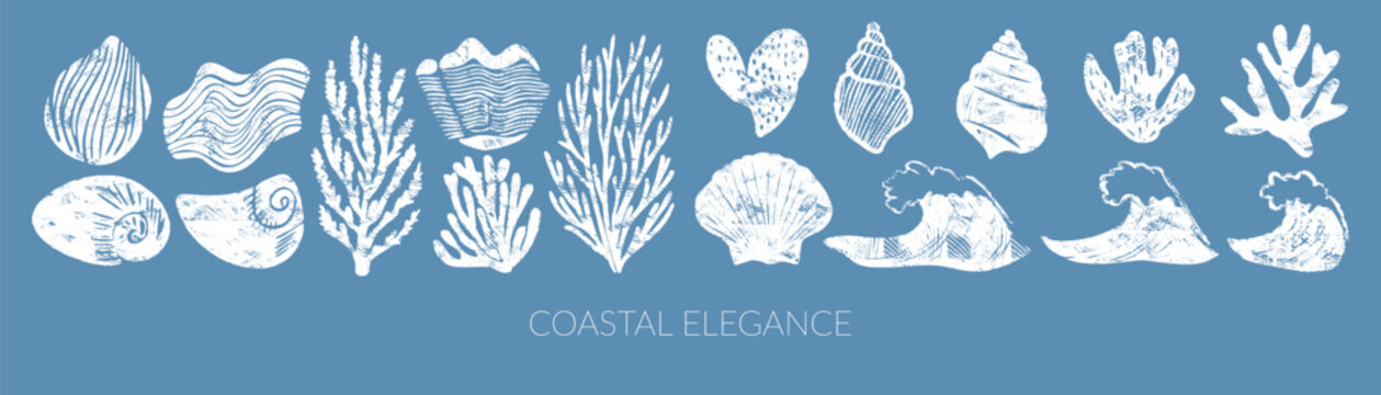coastal elegance vector illustration set featuring engraved seashells, coral, waves and marine motifs in rustic linocut style, ideal for packaging, menu, branding and mediterranean design
