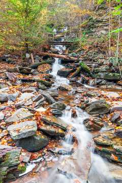 Unnamed tributary of the Ganoga Glen branch of Kitchen Creek.  Falls Trail at Ricketts Glen State Park. Pennsylvania
