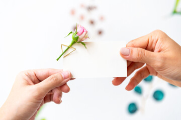 Obraz premium Hands holding floral blank card.