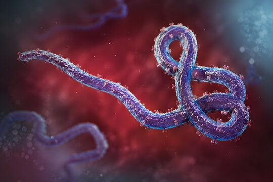 Realistic 3D Ebola Virus Structure Illustration on Microscopic Background