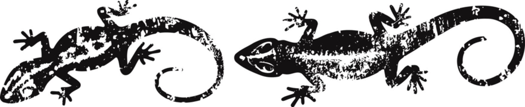 two black silhouette lizards crawling with curled tails on white background