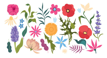 Cute pastel flowers and leaves. Minimal floral clipart collection. Set of floral branch. Isolated on white for greeting cards, Easter, thanksgiving.  © Unaanya