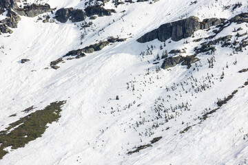snow covering hillsides on avalanche lake hike in glacier np © Dylan