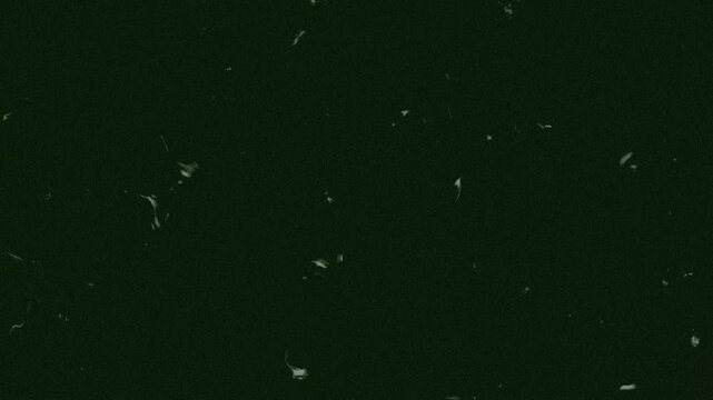 Night Vision Effect with Hairline Scratch Overlay