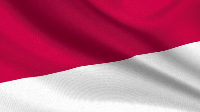 Seamless 3D video of the Monaco flag fluttering in the wind looping