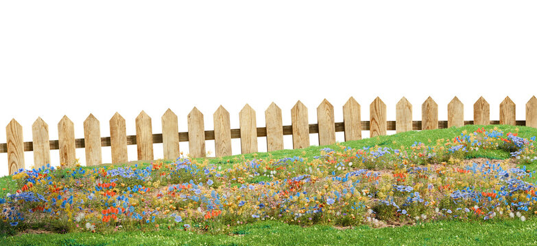 Wildflower meadow with wooden fence on transparent background