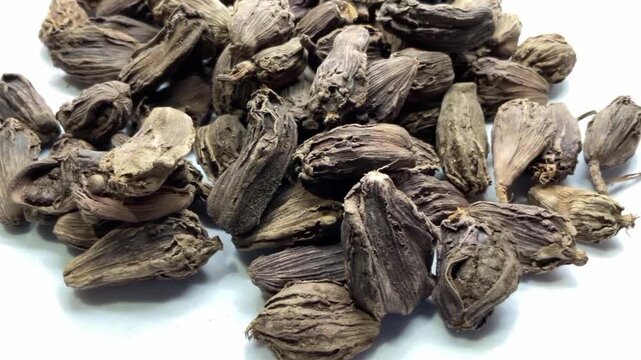Pile of Dried Black Cardamom Pods, Whole black cardamom (Amomum subulatum) seed pods, an aromatic Indian spice.herbal medicine, traditional Indian seasoning, and healthy food photography.