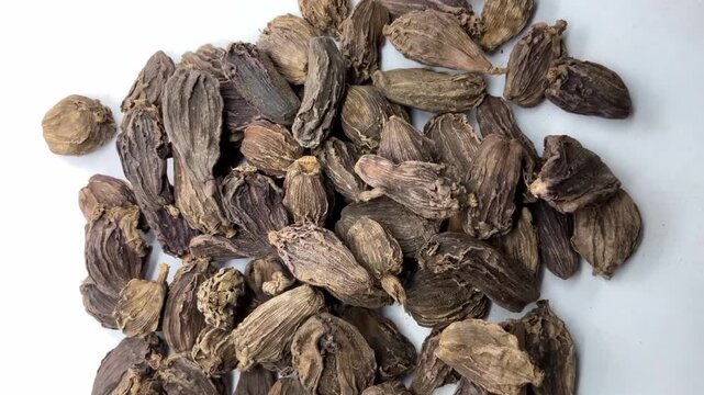 Pile of Dried Black Cardamom Pods, Whole black cardamom (Amomum subulatum) seed pods, an aromatic Indian spice.herbal medicine, traditional Indian seasoning, and healthy food photography.