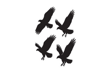 Fototapeta premium Eagle silhouettes in flight against a white background