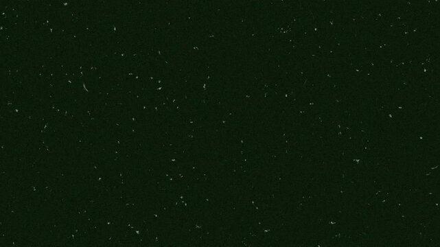 Night Vision Overlay with Grain and Dust Effect