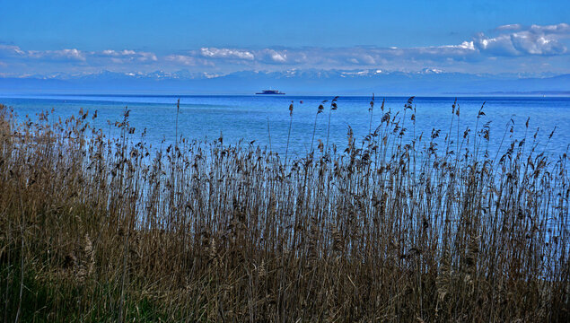 Bodensee bei der Insel Mainau mit Blick zu den Alpen; Baden W&uuml;rttemberg; Deutschland