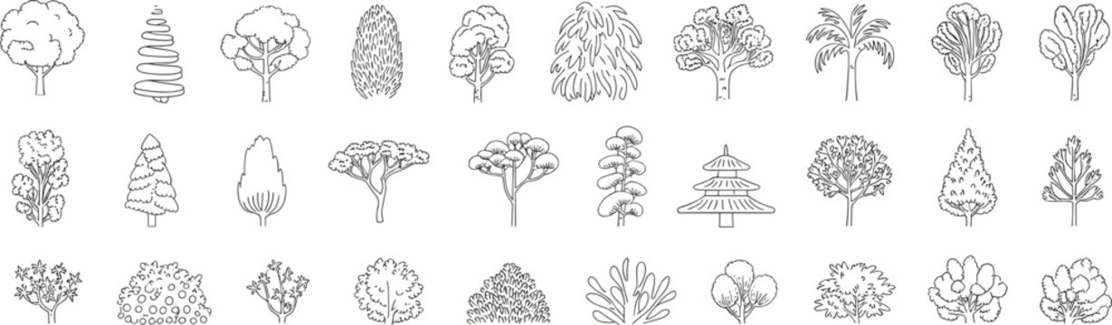 Tree line art vector icon set featuring diverse hand drawn forest plants pine palm and bushes silhouettes on white background