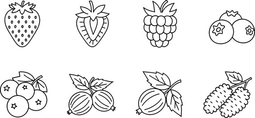 Set of fresh berries and summer fruits in simple black and white line art drawing style © Simu Store