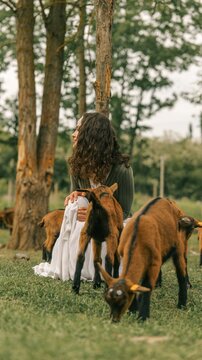 Young woman in white dress sitting with goats in a grassy field near trees