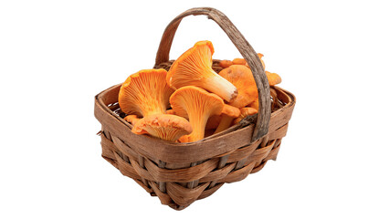 Small wicker basket full of fresh wild chanterelle mushrooms isolated on transparent background © novoradova-png