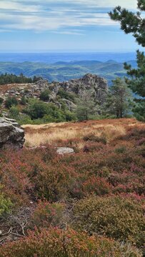 Magnifique panorama sur les monts de l'Espinouse et la plaine languedocienne depuis les cr&ecirc;tes du Mont Caroux (parc naturel r&eacute;gional du Haut-Languedoc)