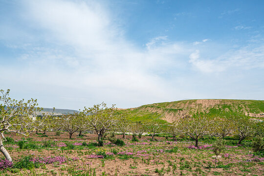Gediz Delta coastal wetlands where the river meets the Aegean Sea in Izmir. The intricate network of lagoons, salt pans, and marshes forms a unique, protected ecosystem for endangered migratory birds.