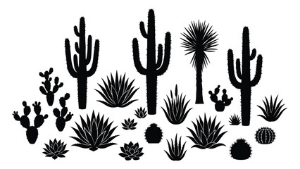 Cactus and succulent plants are arranged in a decorative collection of black silhouettes on a plain white surface. © Sadaf