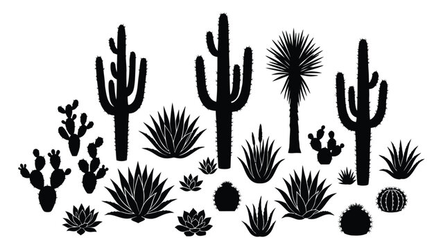 Cactus and succulent plants are arranged in a decorative collection of black silhouettes on a plain white surface.