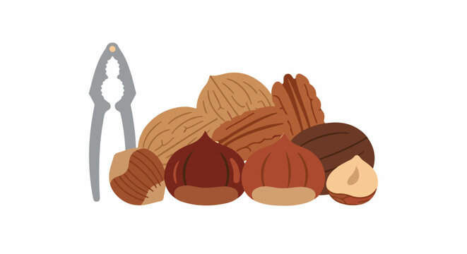 Assortment of nuts and a nutcracker in flat illustration style
