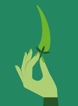 Hand Holding Green Chili Pepper, Spicy Hot Food