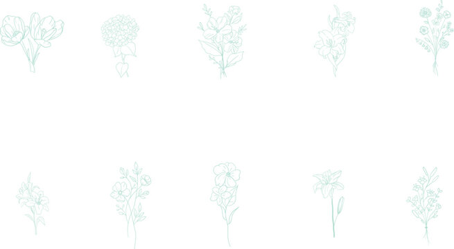 Elegant collection of delicate mint green botanical floral line art illustrations featuring various spring flower arrangements and individual blossoms rendered in a clean minimalist style suitable for