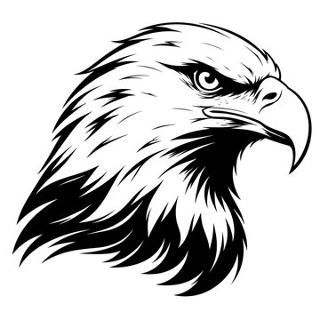 Side Profile Bald Eagle Head Monochrome Vector Illustration