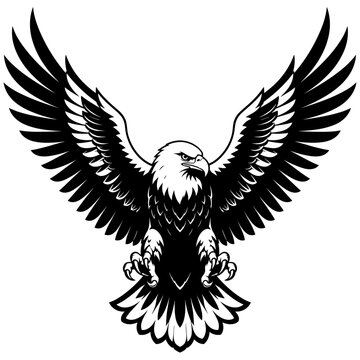 Bald Eagle with Spread Wings Black and White Vector Graphic